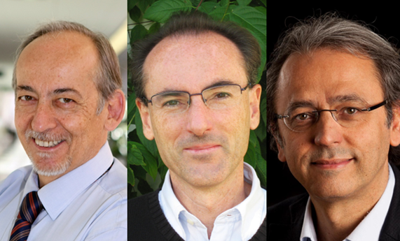Bosch, LLovet y Gisbert entre los 100 investigadores españoles más citados
