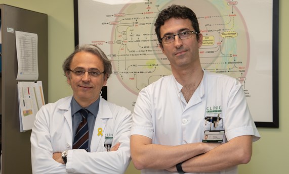 Investigadores del CIBEREHD participan en la nueva guía clínica europea para el manejo del carcinoma hepatocelular