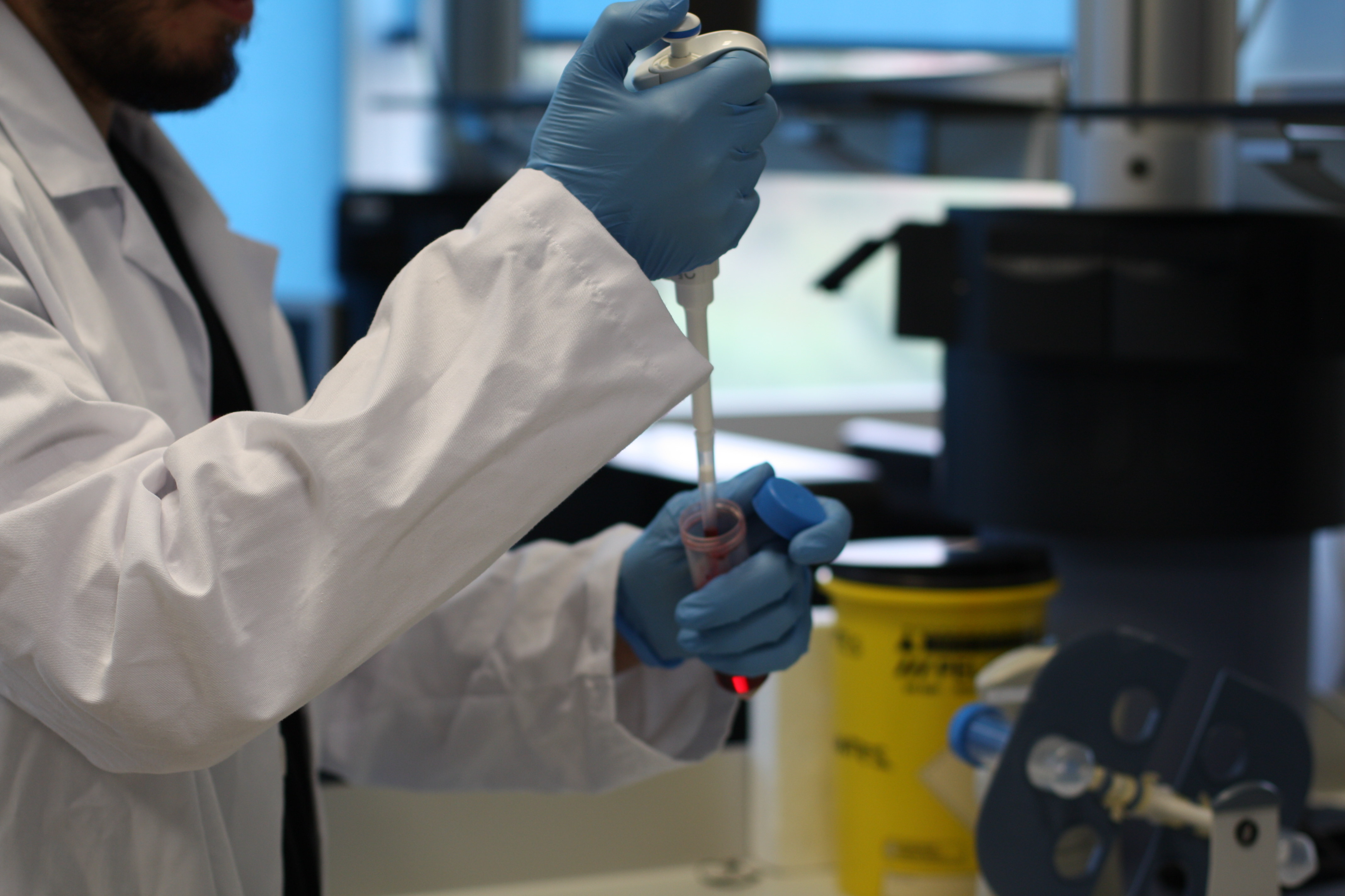 Un estudio relaciona el tejido adiposo con el desarrollo del cáncer colorrectal