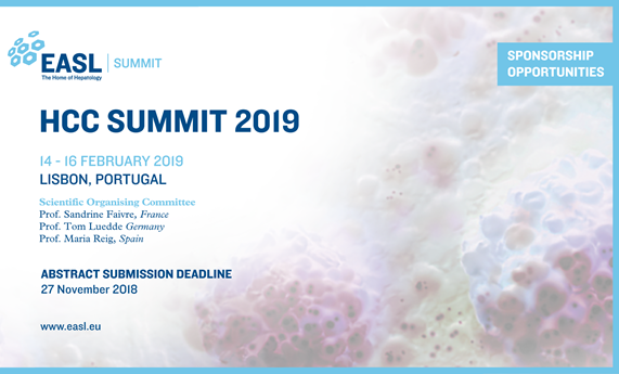 Abierto el plazo de presentación de trabajos para el HCC Summit 2019