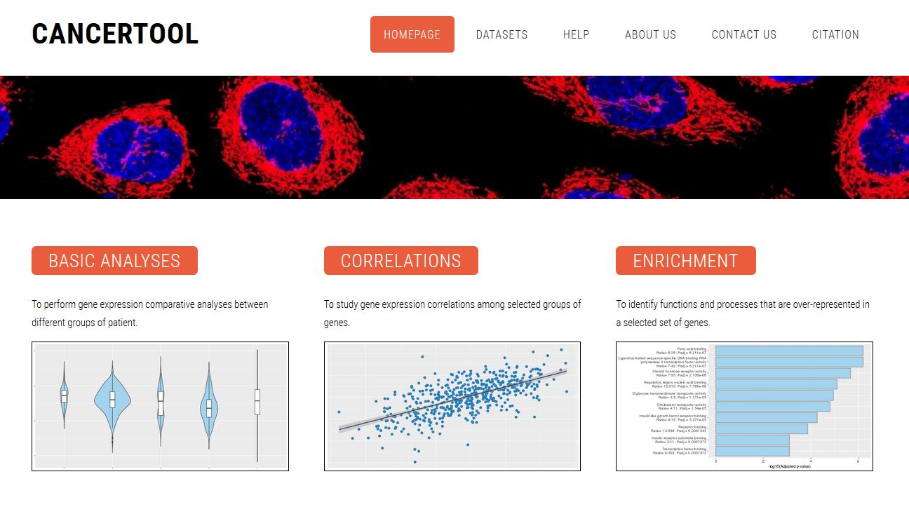 Desarrollan una herramienta para la visualización y representación de datos de expresión génica en cáncer: CANCERTOOL