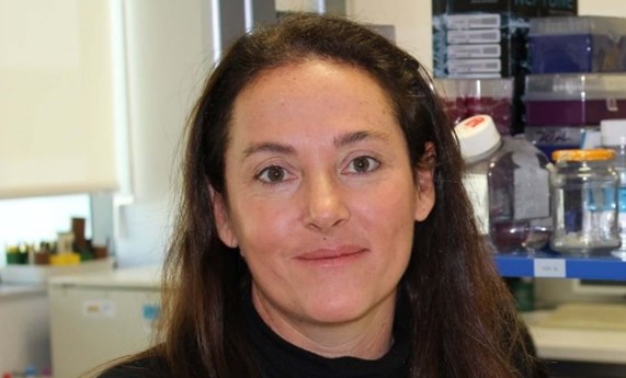 Marina Berenguer, nombrada presidenta electa de la Sociedad Internacional de Trasplante Hepático