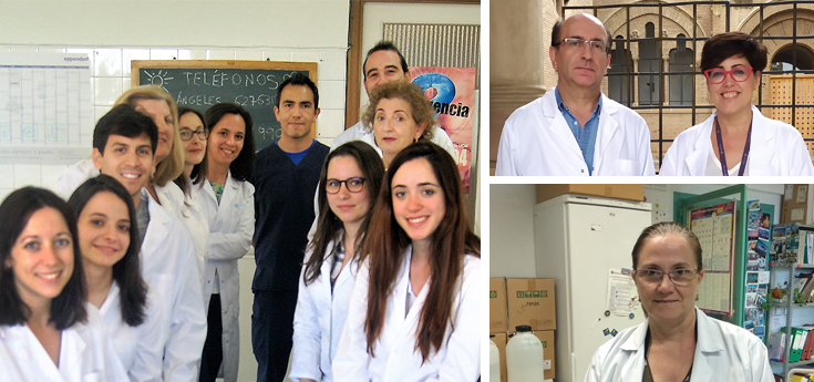 Los antioxidantes mitocondriales, beneficiosos para mejorar las alteraciones metabólicas en casos de obesidad