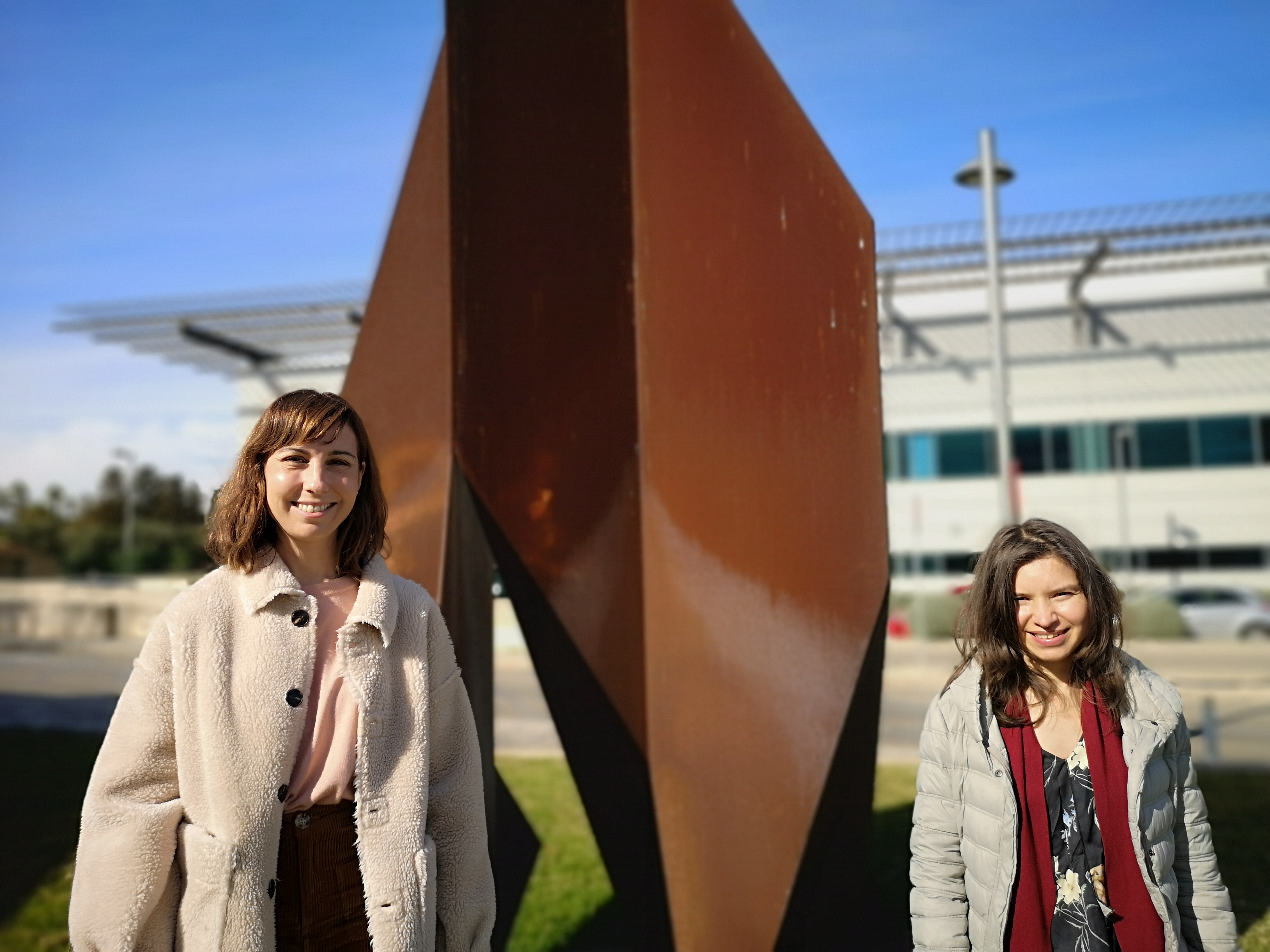 Demuestran el vínculo entre el consumo de alimentos y bebidas ultraprocesados y la acumulación de adiposidad relacionada con la edad