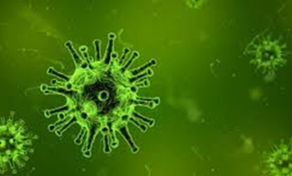 Evaluación del impacto de la pandemia por COVID-19 en el manejo del cáncer hepático