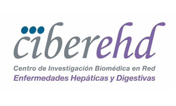 El CIBEREHD destina 390.000€ a política científica para la promoción del estudio de las Enfermedades Hepáticas y Digestivas