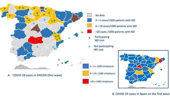 Un estudio analiza la relación entre la COVID-19 y la enfermedad inflamatoria intestinal en España