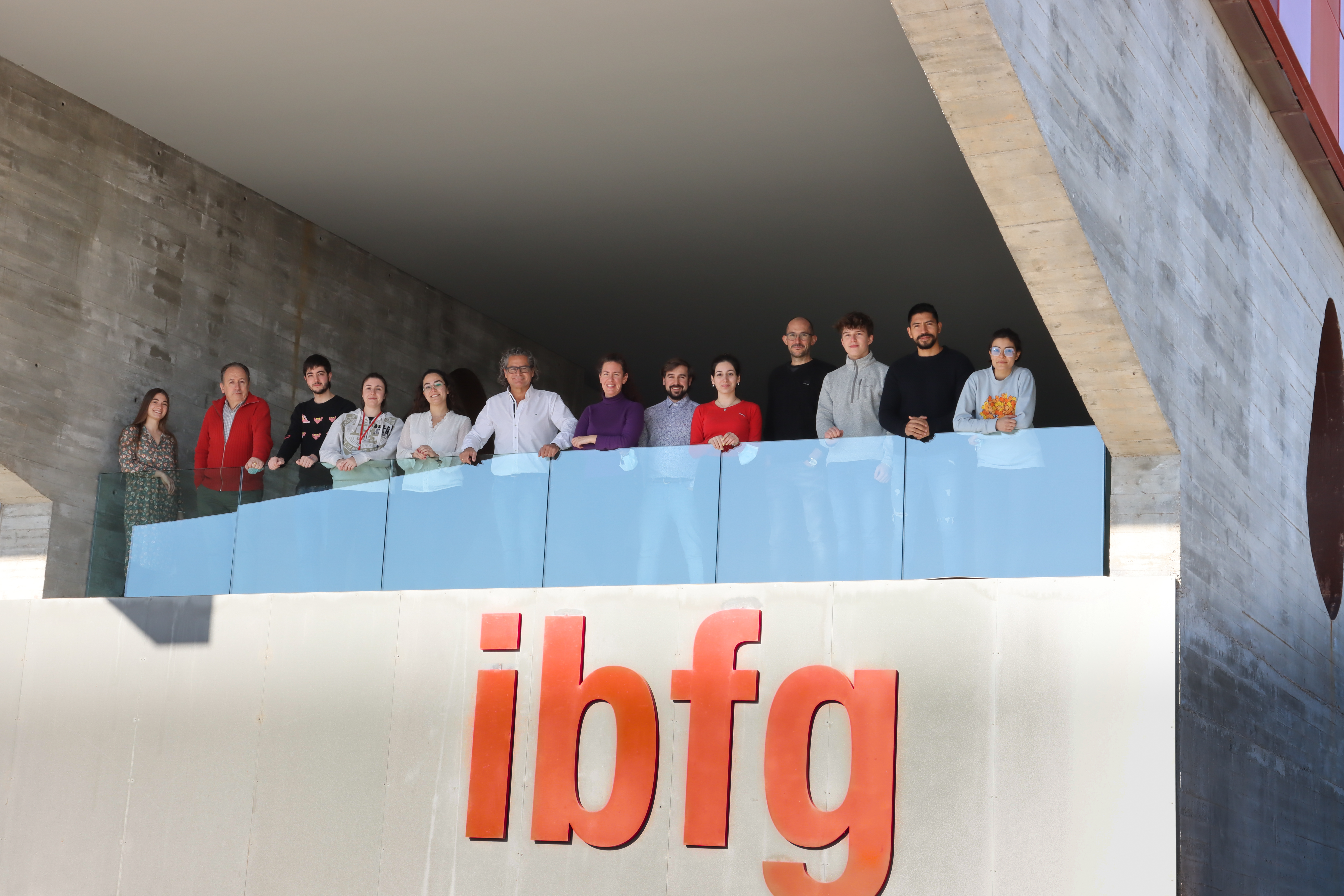 Descubren una posible diana terapéutica para frenar la degeneración neuronal en la enfermedad de Batten