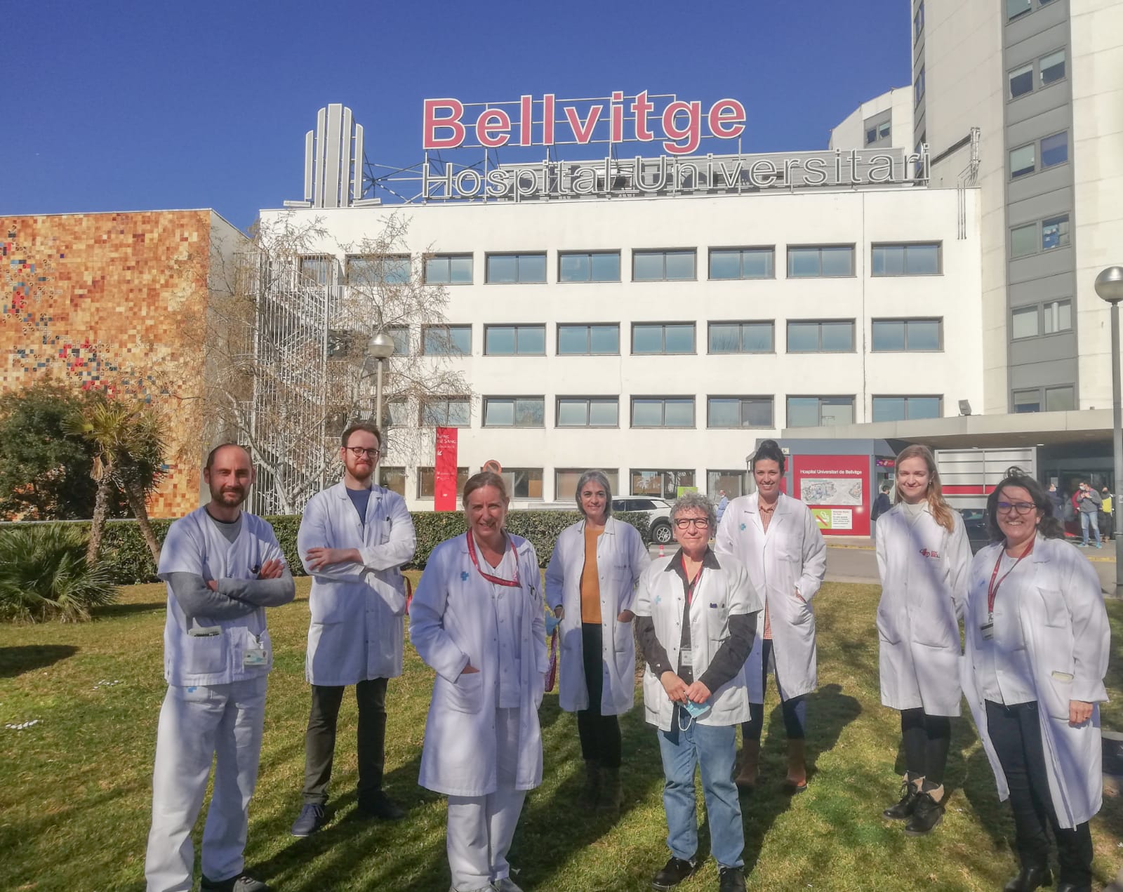 Descubren nuevas claves sobre la persistencia de S. aureus en el entorno hospitalario