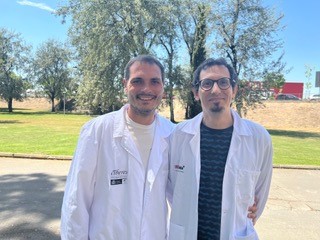 Identifican las implicaciones pronósticas de los patrones de comorbilidad en pacientes críticos con COVID-19