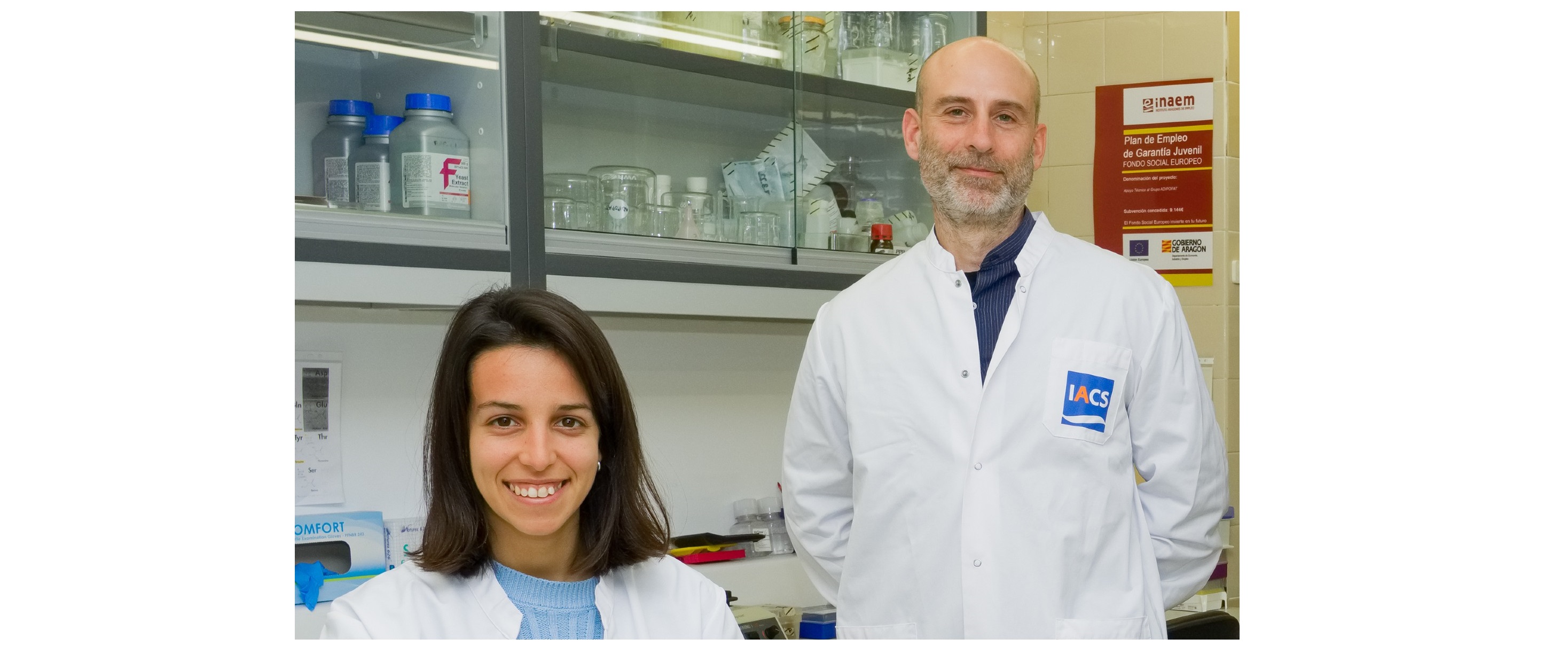 Identifican nuevas dianas en el tejido adiposo implicadas en la progresión de la enfermedad del hígado graso no alcohólico