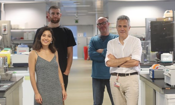 Desvelan las mutaciones que originan una de las malformaciones congénita del corazón más frecuentes Desvelan las mutaciones que originan una de las malformaciones congénita del corazón más frecuentes