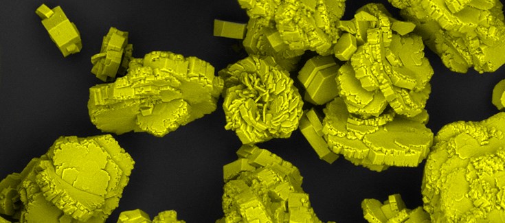 Un antioxidante natural previene la formación de piedras de cistina en un modelo murino de cistinuria