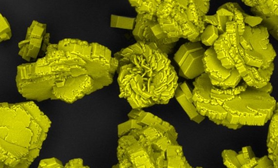 Un antioxidante natural previene la formación de piedras de cistina en un modelo murino de cistinuria Un antioxidante natural previene la formación de piedras de cistina en un modelo murino de cistinuria