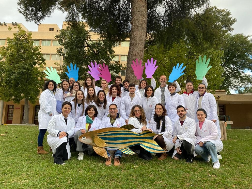 Avances en la búsqueda de tratamiento de personas afectadas por problemas en la producción de células sanguíneas