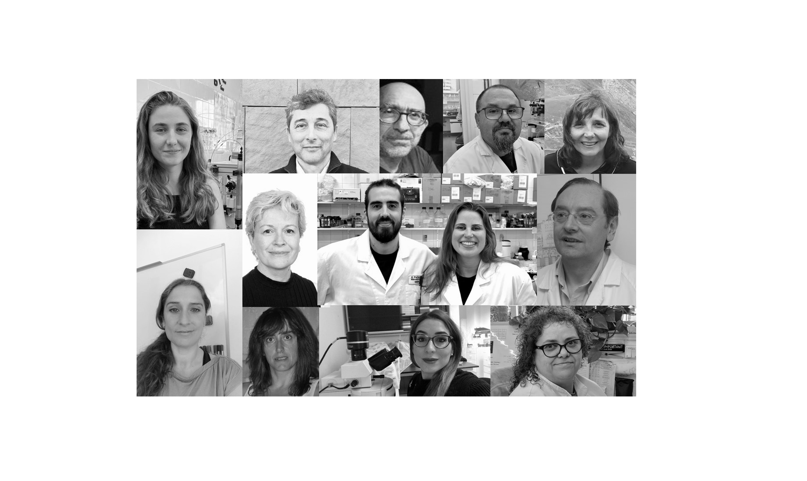 Desarrollan materiales proteicos para inmunización y liberación de fármacos