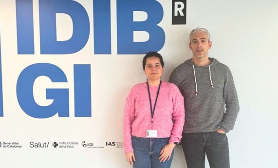 Identifican un vínculo entre cognición, microbiota intestinal y ferritina Identifican un vínculo entre cognición, microbiota intestinal y ferritina