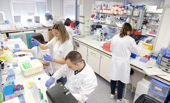 Descubren biomarcadores sanguíneos que anticipan la diabetes tipo 2 hasta siete años antes del diagnóstico Descubren biomarcadores sanguíneos que anticipan la diabetes tipo 2 hasta siete años antes del diagnóstico