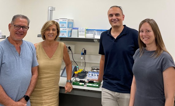 Demuestran los efectos del veneno de abeja sobre el sistema vascular Demuestran los efectos del veneno de abeja sobre el sistema vascular