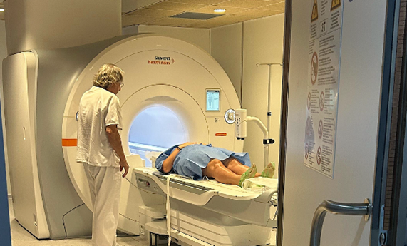 La grasa que se esconde entre los músculos: un nuevo enemigo silencioso de la salud cardiometabólica La grasa que se esconde entre los músculos: un nuevo enemigo silencioso de la salud cardiometabólica