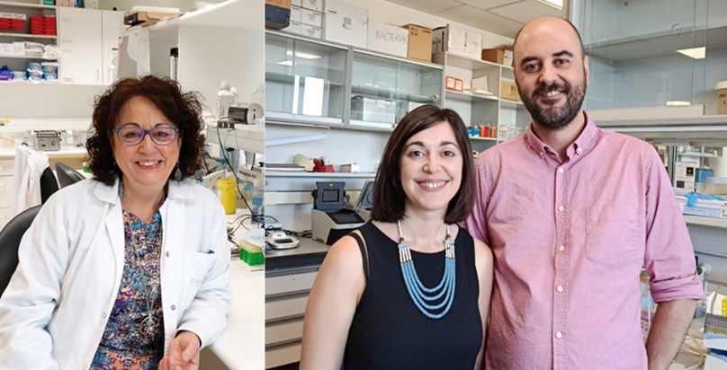 Un avance internacional liderado por el Centro de Investigación del Cáncer abre nuevas vías terapéuticas para el colangiocarcinoma