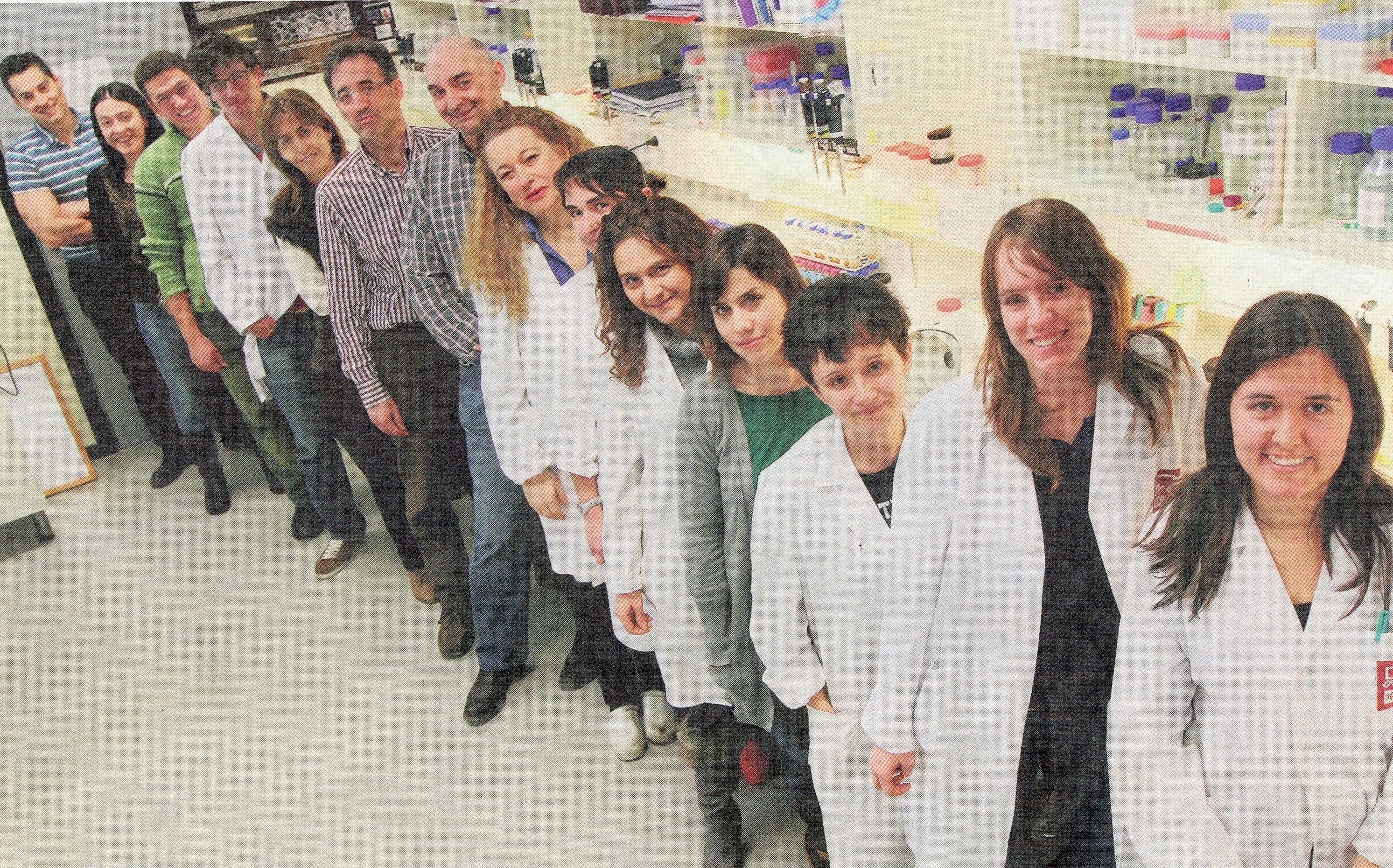 El Grupo Bioforge de la UVa desarrolla nuevos materiales con características inéditas