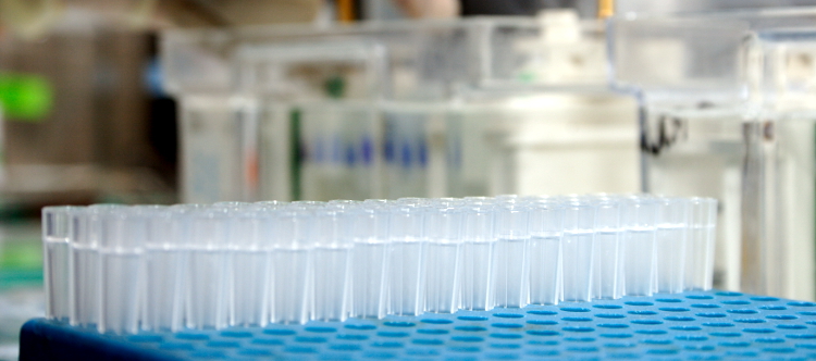 La convocatoria de ACCI 2015 del CIBERER financiará 11 proyectos de investigación