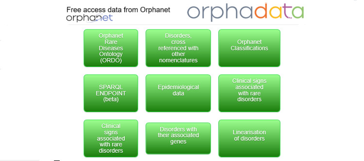 Orphadata se actualiza para mostrar de manera más accesible los datos de Orphanet