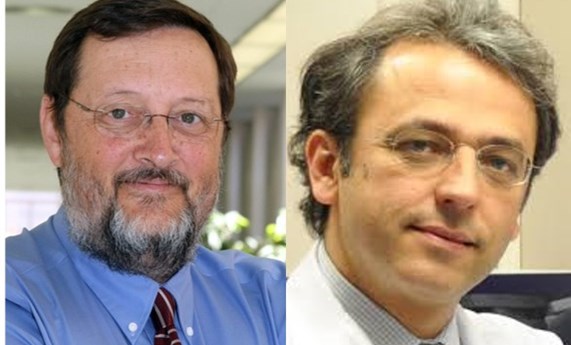 Dos miembros del CIBEREHD entre los investigadores más citados del mundo