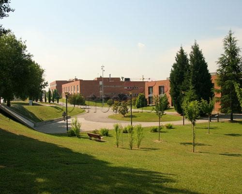 Reunión Anual CIBERDEM