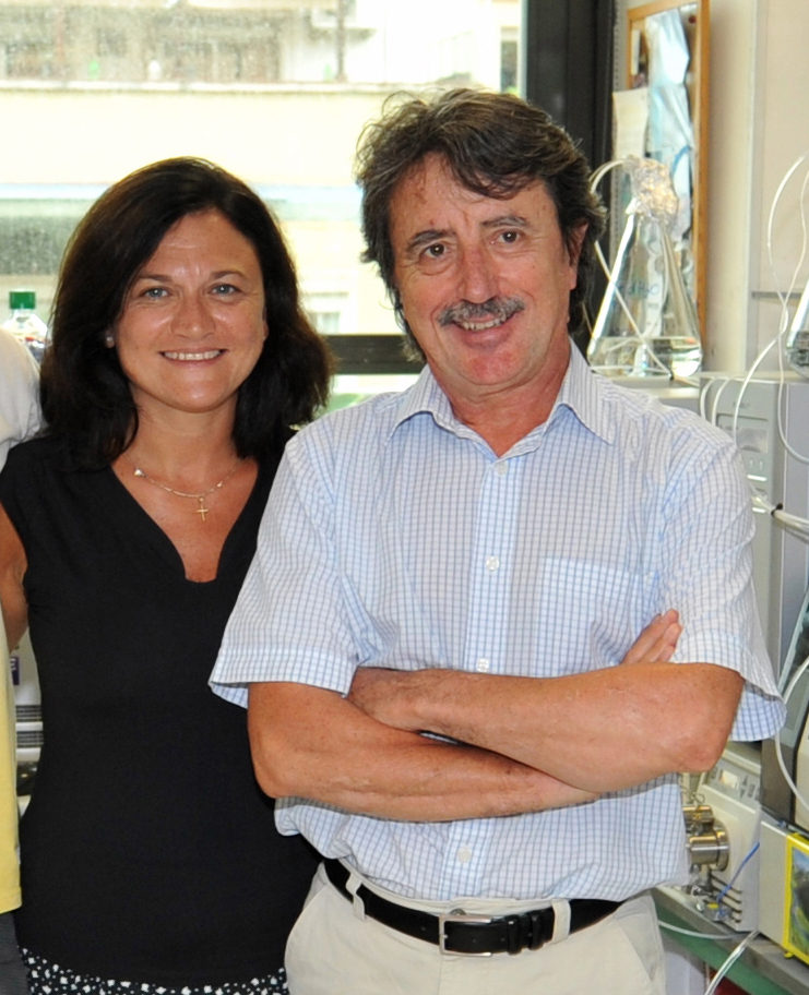 Los rasgos de comportamiento de los padres pueden ser transmitidos mediante mecanismos no genéticos a la descendencia