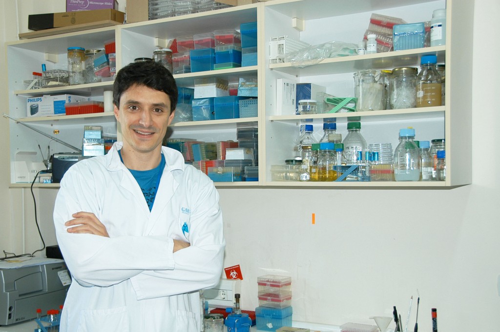 Demuestran que unas pequeñas moléculas de ADN presentes en las bacterias potencian su resistencia a los antibióticos