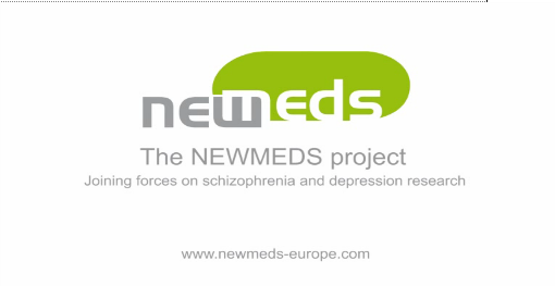 NEWMEDS ha unido a instituciones académicas y empresas farmacéuticas en la búsqueda de nuevos fármacos para esquizofrenia y depresión