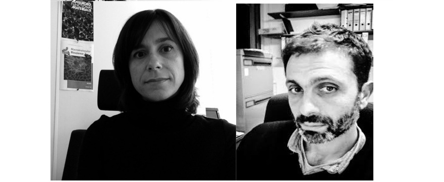 Describen un sistema capaz de mantener la pluripotencia de células madre e inducir su diferenciación eficiente