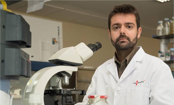 Jordi Gracia elegido secretario de la Sociedad Internacional de Investigación sobre el Sinuoside Hepático