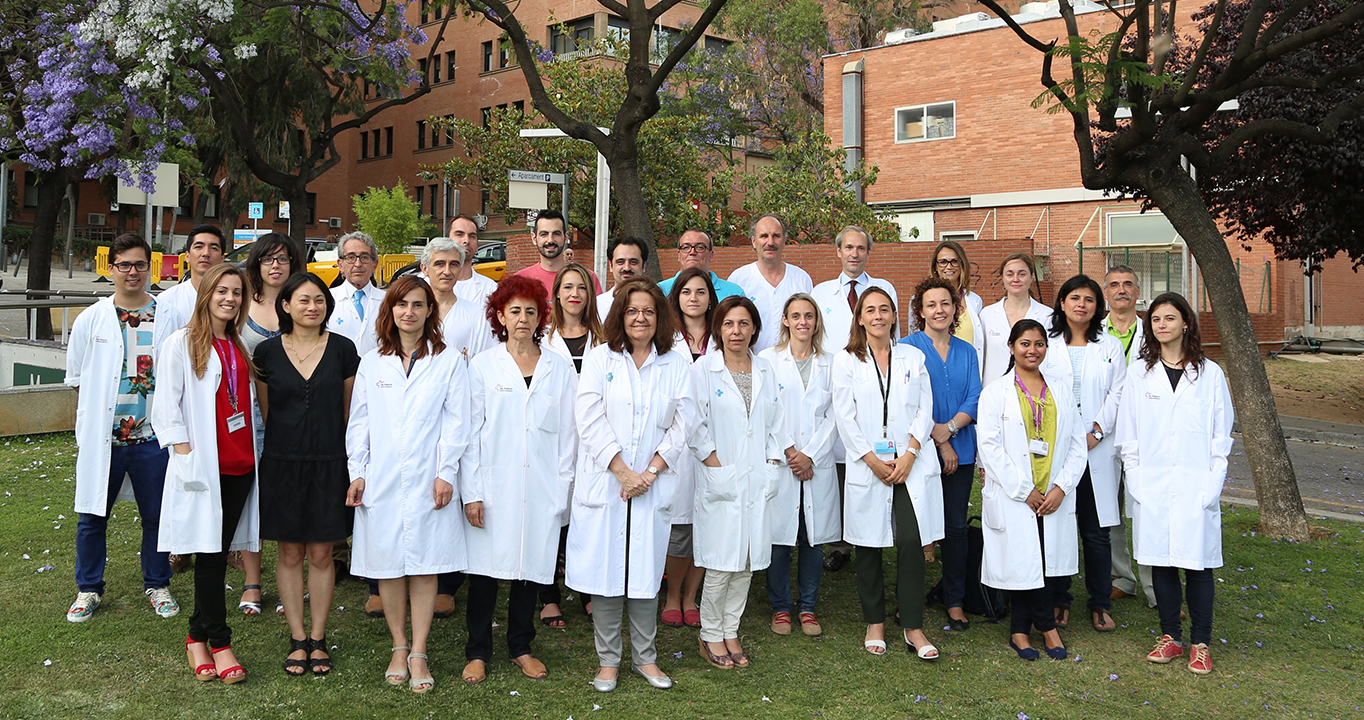 Un desayuno calórico disminuye la satisfacción después del almuerzo