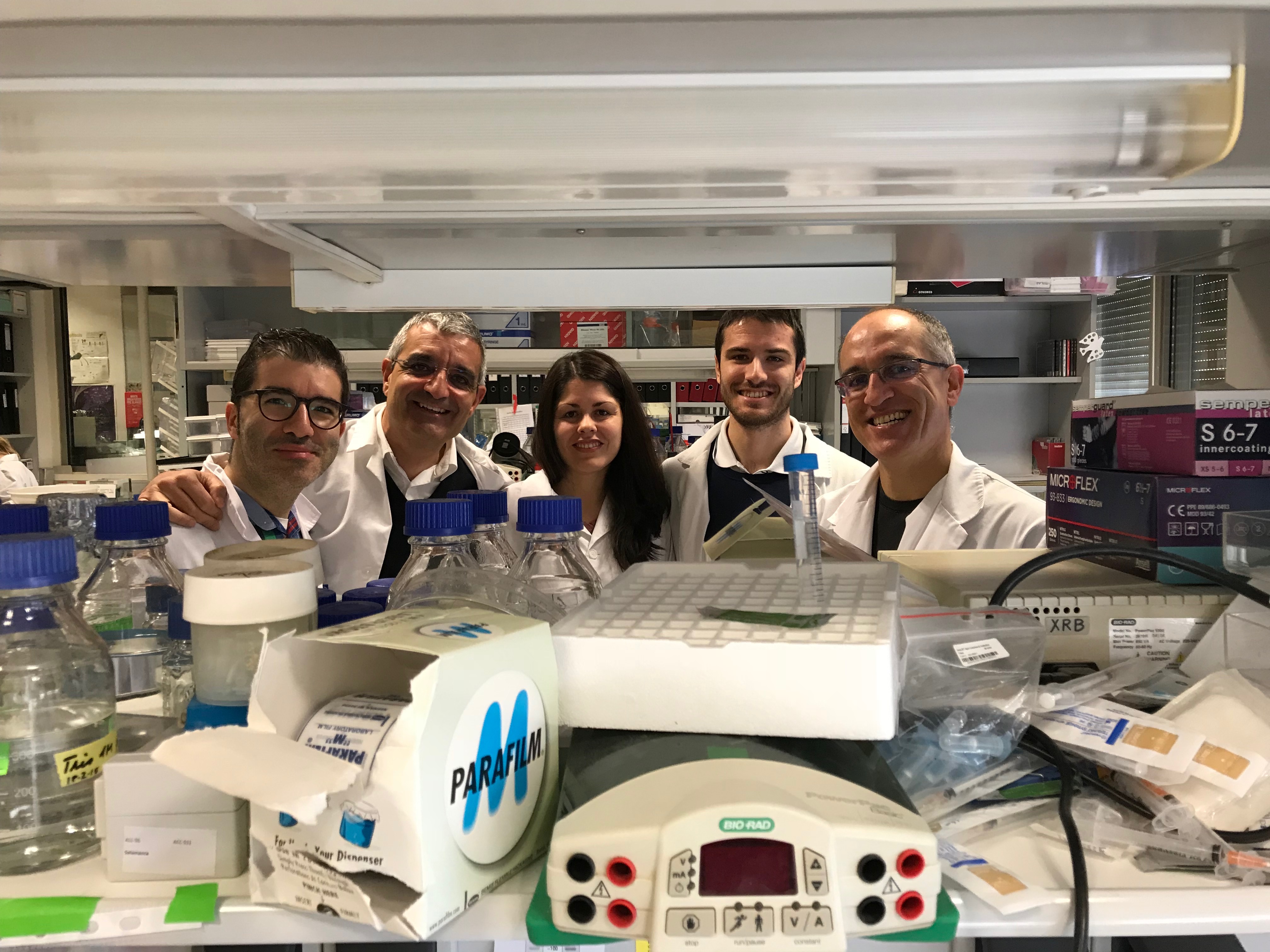 Identificado un nuevo mecanismo que frena la formación de cáncer de células de la sangre